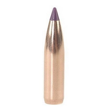 Nosler 24095 Ballistic Tip Hunting 6mm .243 95 GR Spitzer 50 Box