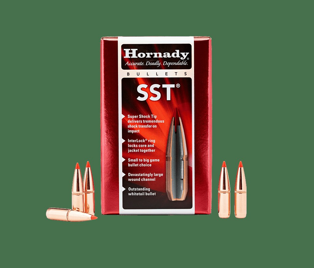 [24532] HORNADY 6MM SST 95GR